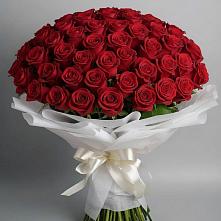 Букет 101 Красная роза Блэк Мэджик в Чесменке