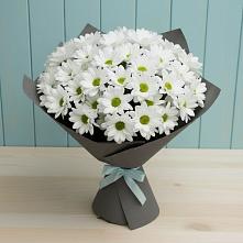 Букет цветов из:  Хризантемы #REPLACE_PRED# Чесменке