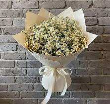 Букет цветов из:  Ромашки #REPLACE_PRED# Чесменке