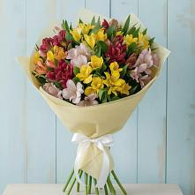Букет цветов из:  Альстромерии в Чесменке