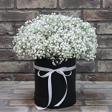 Цветочная композиция из Гипсофила в шляпной коробке в Чесменке