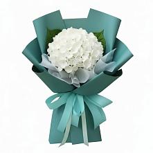 Букет цветов из:  Гортензия в Чесменке